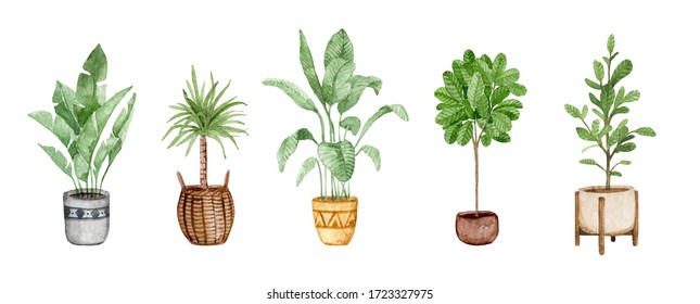 Set Of House Plants. Watercolor Hand Drawn