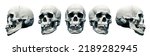 Set Human anatomical skulls with an close lower jaw on a White isolated background. Kit. The concept of death, immortality, eternal life, horror. Occult symbol. Spooky Halloween symbol. 3D render