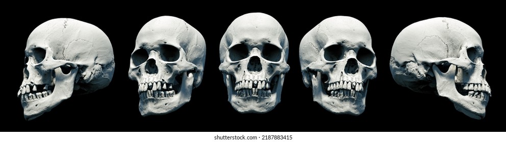 Set Human skulls with an close lower jaw on a Black isolated background. Kit. The concept of death, immortality, eternal life, horror. Acult symbol. Spooky Halloween symbol. 3D render