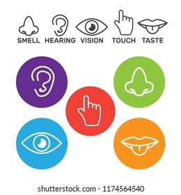 Icon Set Five Human Senses Vision Stock Vector (Royalty Free) 714529117