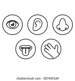 Set Icons Five Senses Sight Smell Stock Illustration 307459169 ...
