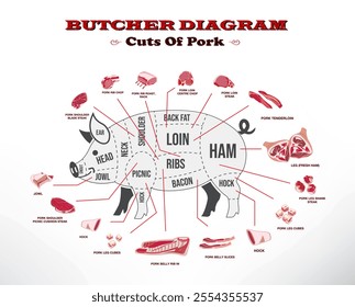 Set illustration of Butcher Diagram of Pork Cuts   - Powered by Shutterstock