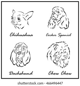 Set Of A Illustration Shows A Dog Breeds. Chihuahua, Chow Chow, Cocker Spaniel, Dachshund