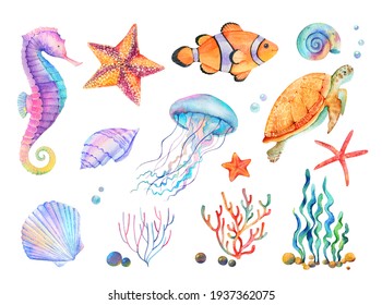 A set of illustrations of marine life. Seahorse, turtle, coral, shells on a white background. Watercolor themed drawings, sticker template