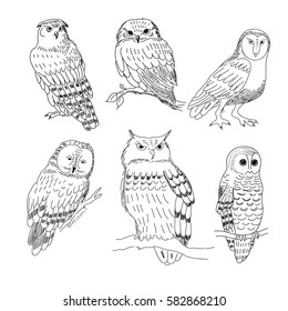 Owl Collection Set Funny Bird Stock Vector (Royalty Free) 129086225