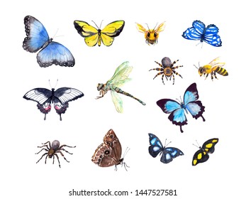 Set of insects - butterflies, dragonfly, spiders, bees. Watercolor collection