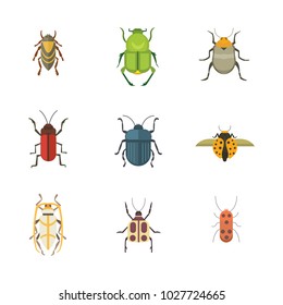 Set Insects Flat Style Design Icons Stock Illustration 1027724665 ...