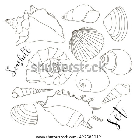 Set of isolated hand drawn seashell icons. 