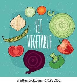 Set isolated products in section  bell pepper  cabbage  carrot  cucumber  garlic  pea  tomato  beet  broccoli  Realistic hand draw style  Lettering Set vegetable  Raster version illustration