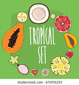 Set isolated tropical fruits in cross sections  coconut  grapefruit  mango  figs  pineapple  lime  passionfruit  pitaya  carambola  papaya  Realistic hand draw style  Raster version illustration