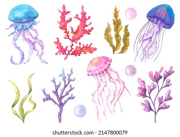 Set with jellyfish, seaweed, carals and bubbles. Sea life painted in watercolor, isolated on a white background.