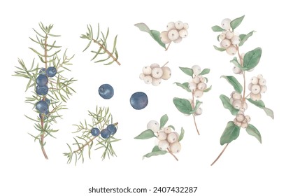 Set of juniper and snowberry branches. Watercolour illustrations of winter berries and green branches for your designs, prints, backgrounds, cards, invitations, stickers, flyers, posters, etc. - Powered by Shutterstock