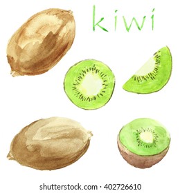 Set Kiwi. Watercolor Food. Fruit. 