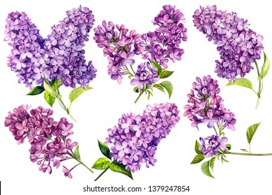 Lilac in Bloom Set