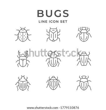 Set line icons of bugs isolated on white. Colorado beetle, ladybug, cockchafer, computer virus symbol