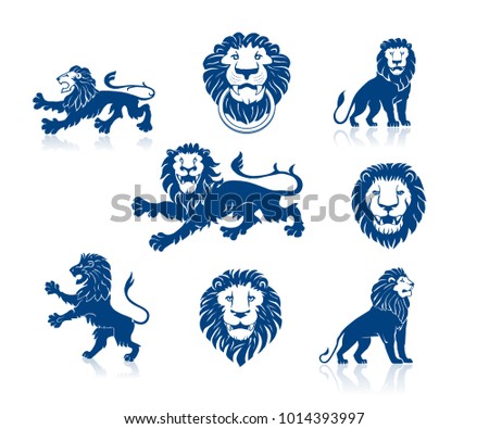 A Set of Lions Illustrations