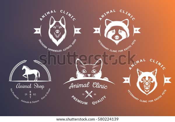 Set Logo Logotype Elements Pet Shop Stock Illustration 580224139