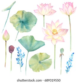 Set with lotus flower and leaf. Watercolor hand drawn illustration. Chinese style