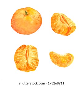 Set Of Mandarin Orange Fruit - Watercolor Painting