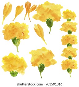 Set Of Marigold Flowers And Petals. Traditional Rural Indian Floral Garland For Celebration. Illustration Of Flower Toran For Decoration In Indian Festival. Watercolor Illustration.