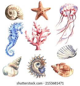 Set of marine animals and shells. Underwater objects isolated on white background. Hand drawn watercolour. Clip art. For posters, T-shirts, textile and ceramic souvenirs, postcards, stickers