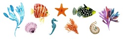 A Set Of Objects On A Marine, Tropical Theme. Seahorse, Starfish, Shells, Corals, Algae, Fishes. Watercolor Hand Drawn Illustration. For Decoration And Design.