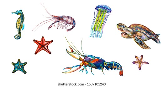 Set of ocean natural animals. Seahorse, lobster, shrimp, turtle, jellyfish, starfishes. Watercolor hand painted elements isolated on white background. - Powered by Shutterstock