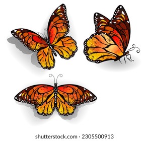 Set orange  realistic  isolated monarch butterflies white background  Monarch  Design and butterflies 