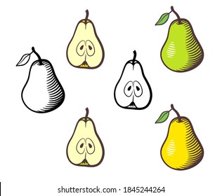 Set pears  Whole fruit   cross section  Green  yellow   outline version  Retro style illustration