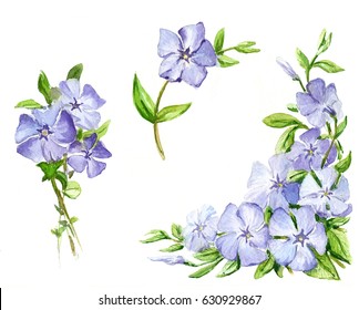 1,481 Periwinkle Watercolor Images, Stock Photos & Vectors | Shutterstock