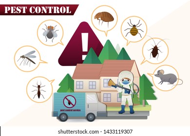 set of pest control concept and prohibited insect isolated