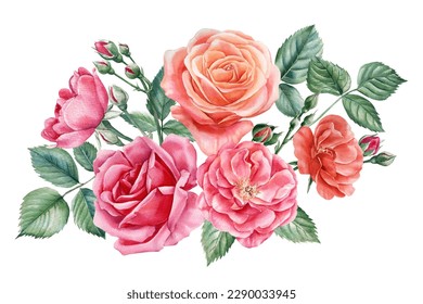 set pink rose, beautiful flower on an isolated white background, watercolor illustration, botanical painting - Powered by Shutterstock