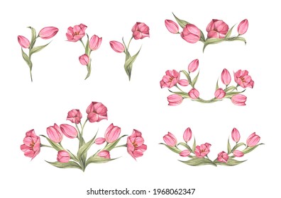 Set of Pink tulips and leaves. Bouquet of tulips. Floral composition. Watercolor illustration. - Powered by Shutterstock