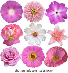 Watercolor Set Different Flowers Hand Drawn Stock Illustration 1054112831