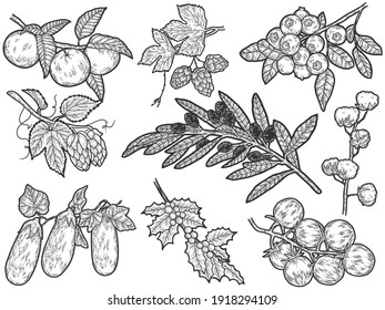 野菜 イラスト モノクロ Images Stock Photos Vectors Shutterstock