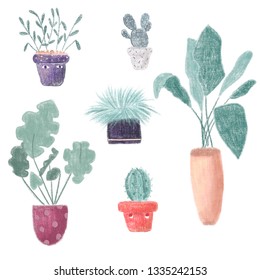 Set Plants Pots On White Background Stock Illustration 1335242153 ...
