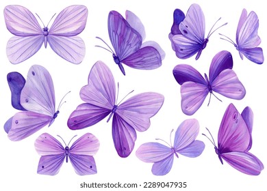 Conjunto mariposas púrpura sobre