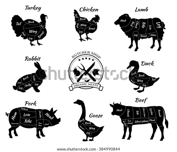 Set Schematic View Animals Butcher Shop Stock Illustration 384990844