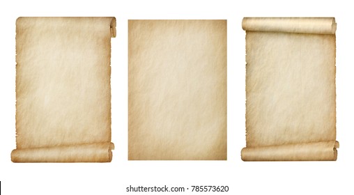 set of scrolls on white background