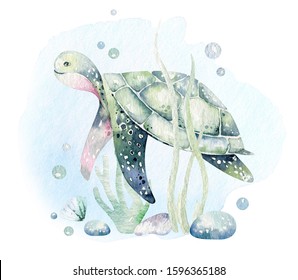 Set Of Sea Animals. Blue Watercolor Ocean Fish, Turtle, Whale And Coral. Shell Aquarium Background. Nautical Marine Illustration