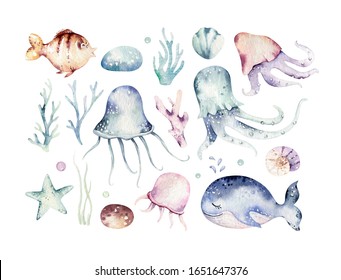 Set Of Sea Animals. Blue Watercolor Ocean Fish, Turtle, Whale And Coral. Shell Aquarium Background. Nautical Marine Illustration