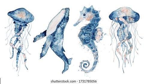 Set sea animals  Blue watercolor ocean fish  Medusa  whale  seahorse