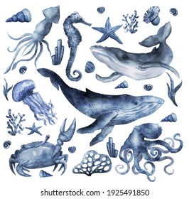 Set of sea animals. Blue watercolor ocean starfish,  whale and crab, seahorse, coral, jellyfish, octopus. Shell aquarium background. Underwater set