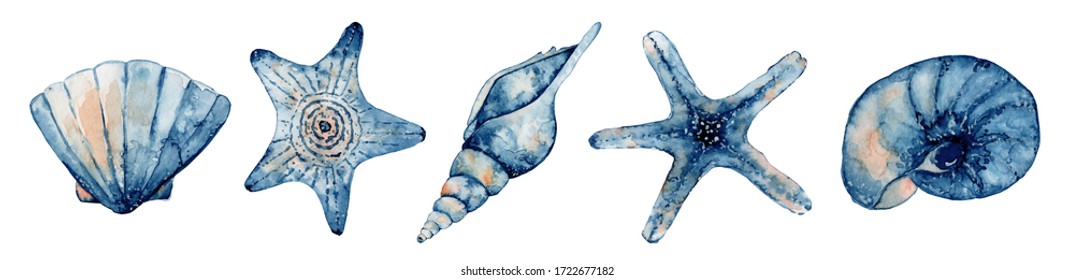 Set of sea creatures. Blue watercolor ocean starfish and seashell. Hand drawn illustration