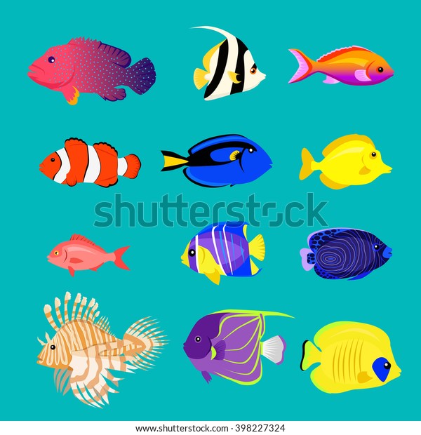 flat ocean fish