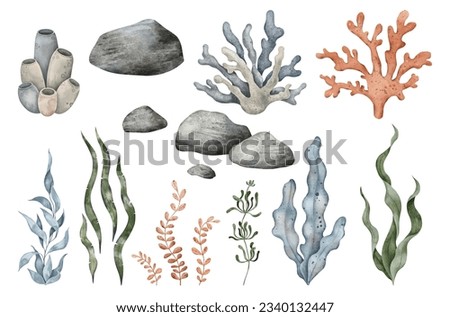 Similar – Image, Stock Photo Bottom of sea with plants and coral