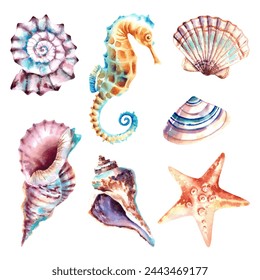 A set of seashells, starfish and a seahorse. Watercolor illustration. Sea elements and Marine animals. Inhabitants of the depths of the sea