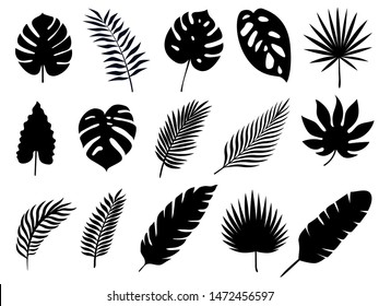 Set Of Silhouette Tropical Palm Leaves