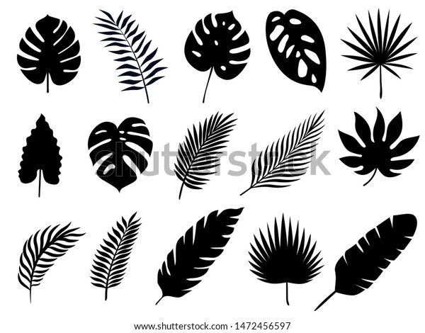 Set Silhouette Tropical Palm Leaves Stock Illustration