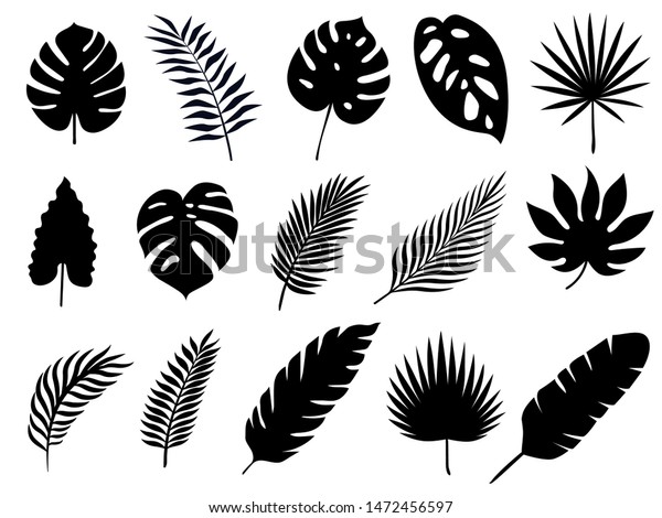 Set Silhouette Tropical Palm Leaves Stock Illustration Shutterstock